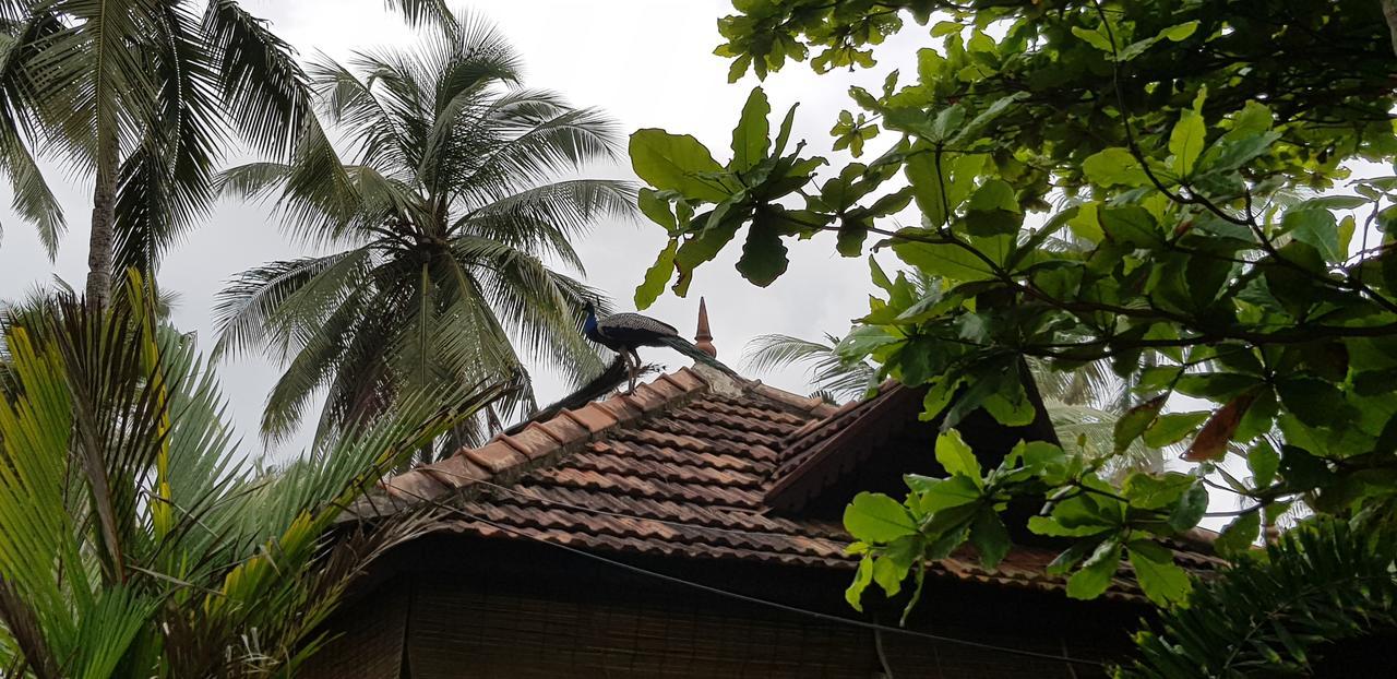 Maadathil Cottages Varkala Exterior foto